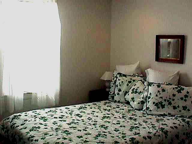 A master bedroom with queen size bed.